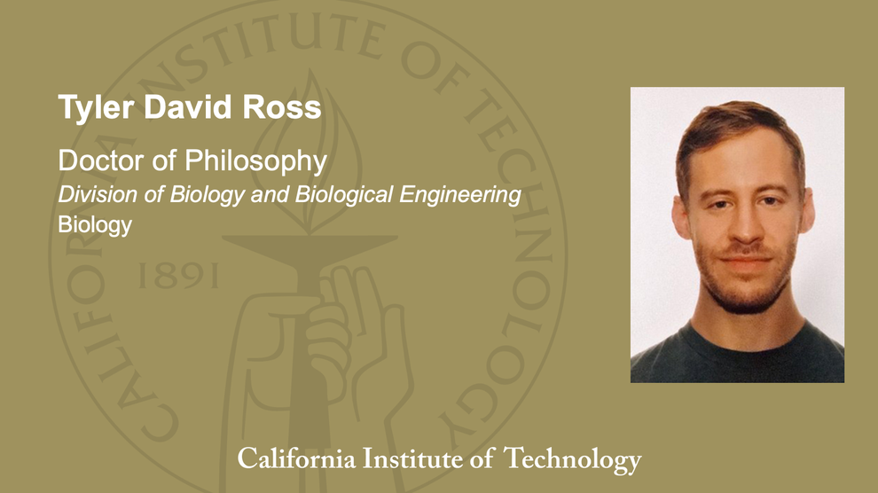 Tyler David Ross