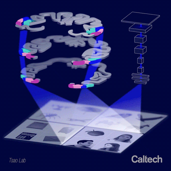 Artist's rendition of layers of the brain representing different objects