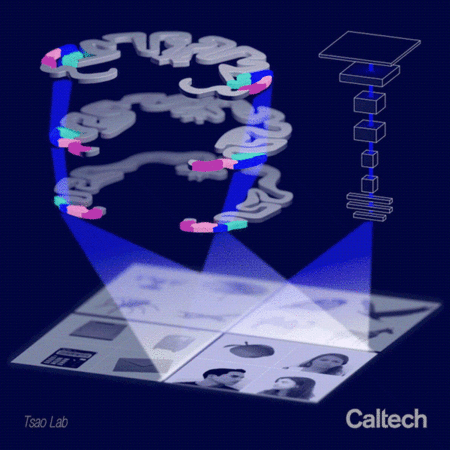 Artist's rendition of layers of the brain representing different objects