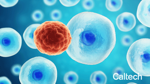 Artist's depiction of ultrasound waves destroying a cancer cell while leaving healthy cells intact.