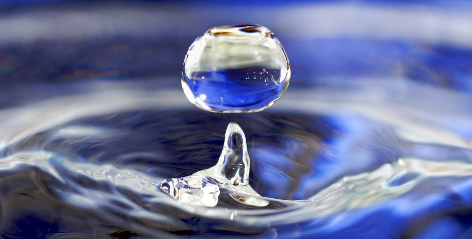 A drop of water splashes up out of a larger body of water