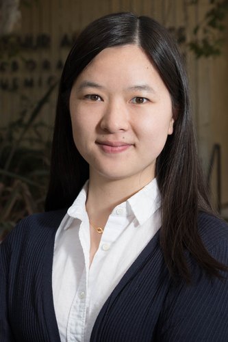 A portrait of Lu Wei