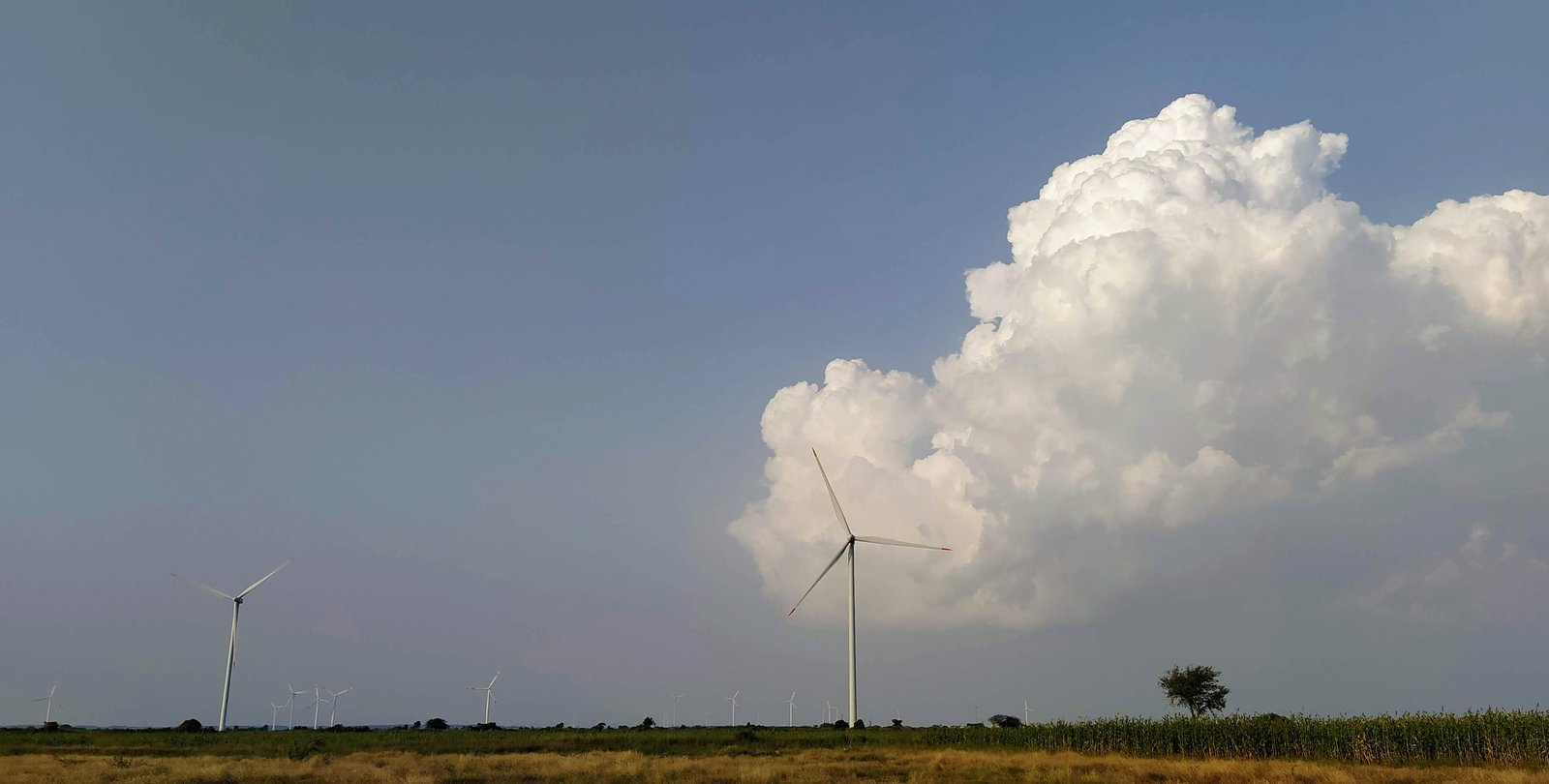 Wind farm