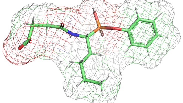 a molecular structure with an irregularly shaped mesh envelope roughly following the outline of the molecule