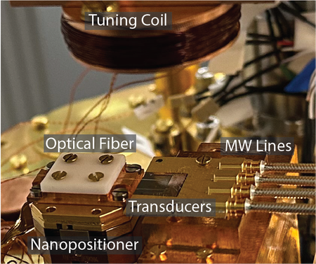 Largely gold components inside a dilution fridge. "Tuning Coil," "Optical Fiber," "Transducers," "MW Lines," and "Nanopositioner" are labeled.