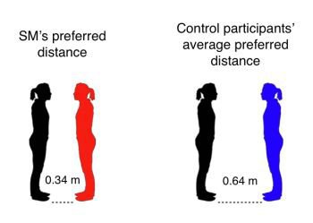 image showing interpersonal space distances